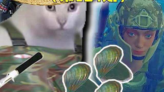 渔民赶海都能摸着啥好货