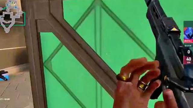 请找出视频中的人类