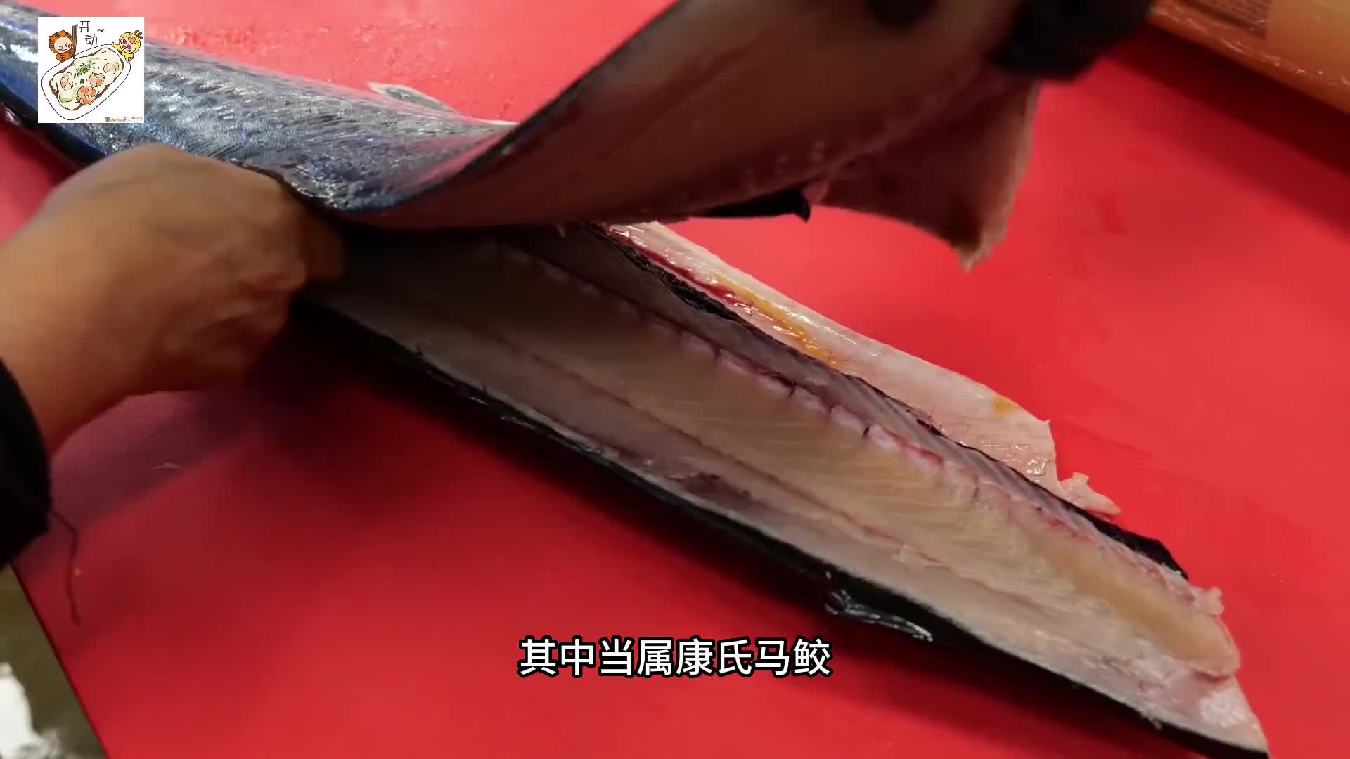 蓝点马鲛用火枪烤一遍之后直接用来做成刺身