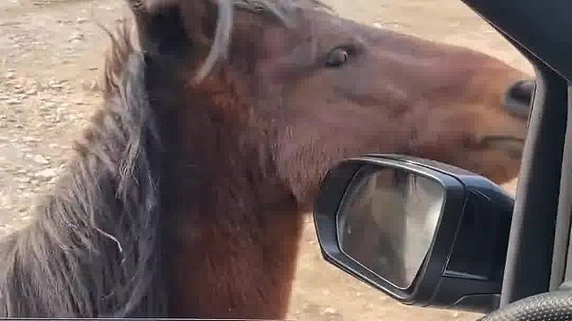 还开个奔驰，来跟我飚一下子