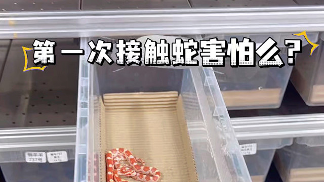 第一次碰到蛇好害怕！