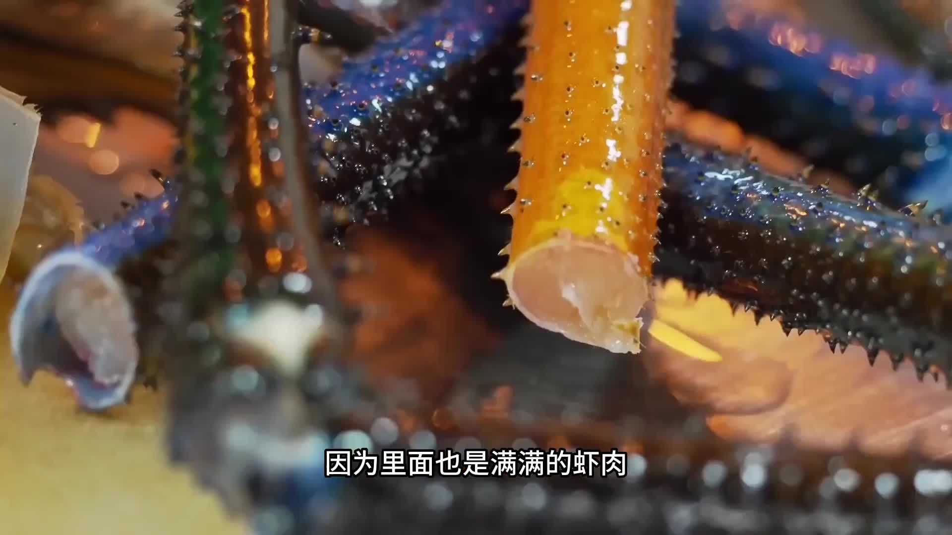 成年人手臂粗的罗氏虾你们见过吗？
