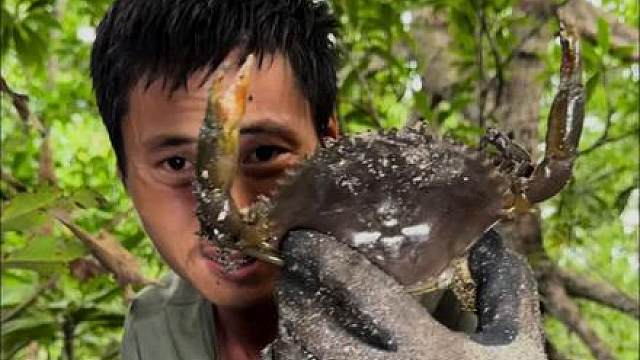 印尼李王岛群岛荒岛生存挑战，夜黑出动，探索红树林，夜潜插鱼，凌晨赶海想尽各种办法获取食物