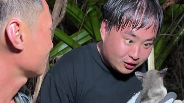 巴布亚哈马黑拉荒岛生存第一集，带领千万粉丝博主，体验真实荒岛生存，上岛遭遇蜥蜴，炭火烘烤，吃上了一顿特别的晚餐