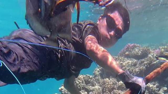 埃及荒岛生存探险第二集，利用自制的鱼叉潜入海底，偶遇传说中的美人鱼儒艮，以及非常稀有的绿海龟