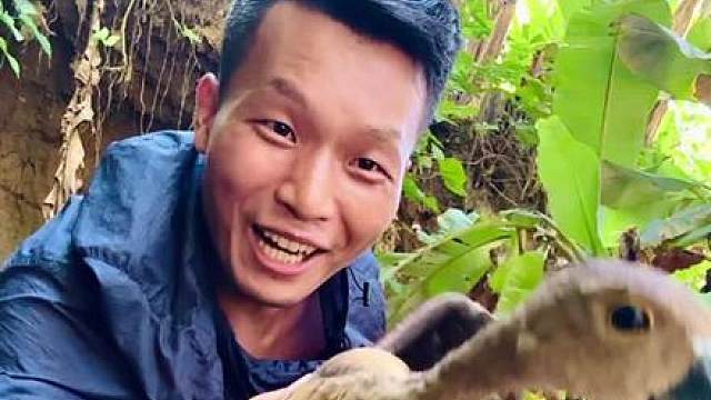 苏门答腊雨林今天收获满满