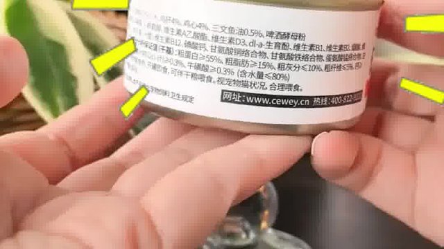 多猫家庭选什么罐头？希喂白小罐不踩雷