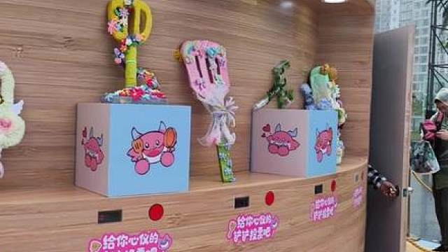 《小食堂带你一起看》胖胖龙好运乐园，JOC春季全国总决赛。