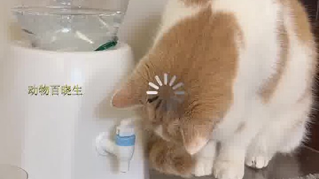 师傅你就说浮溜儿不浮溜儿！