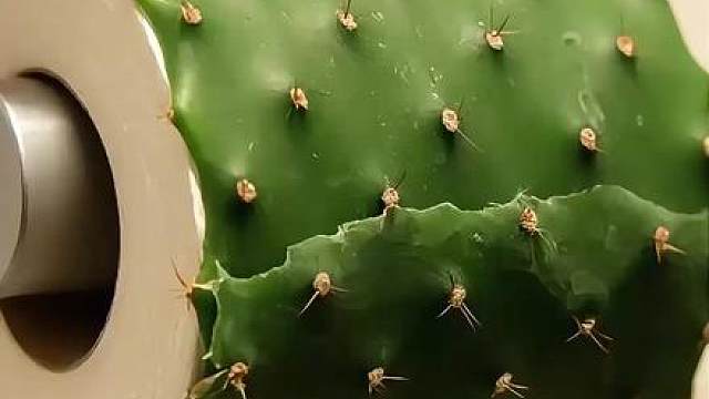 你朋友上厕所忘记带纸了，你会为他选择哪一款厕纸呢？