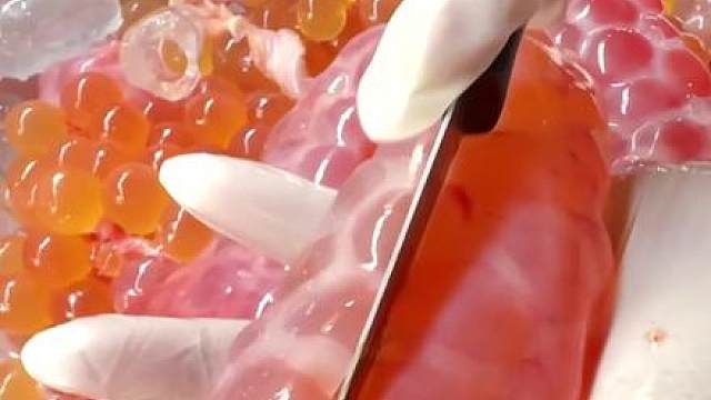 这拿来做鱼子酱不带颗颗爆珠