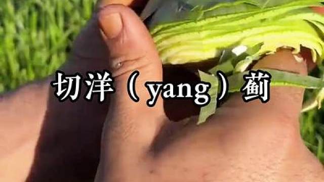 沉浸式各种切切切，令人放松，解压