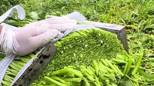 如果上班累了，不知道去哪里发泄就来看我的解压神器吧