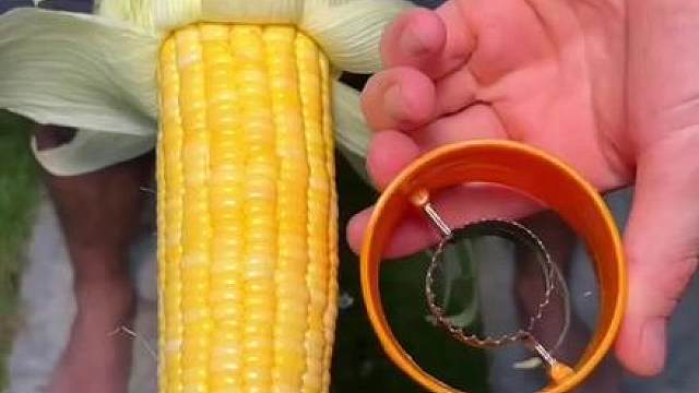 热门事件：黄金又涨爆了？