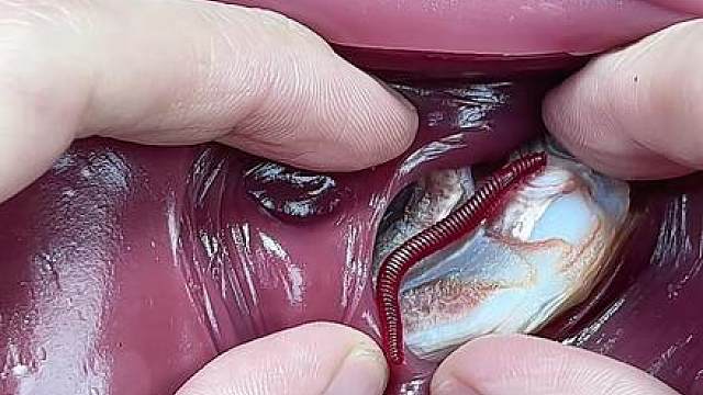 这种天然石你见过吗？