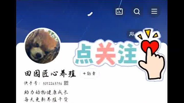 老祖宗的撸猫手法越撸越健康