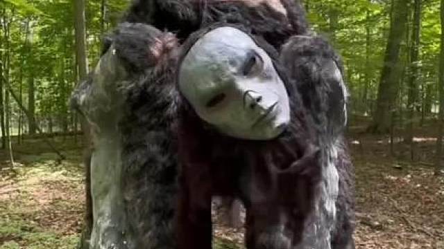 分享8种“顶级生物”你朋友能不能打过