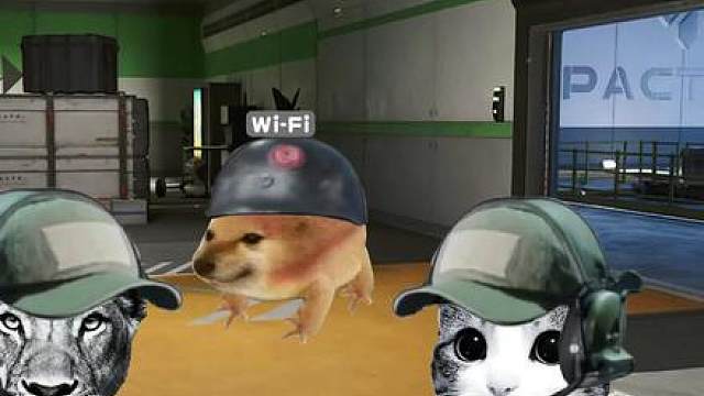 你找的这护一枪没开就清图了