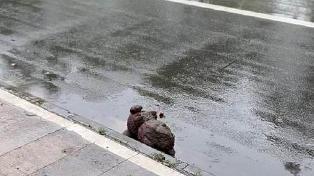 直接给我爽翻！巨解压！