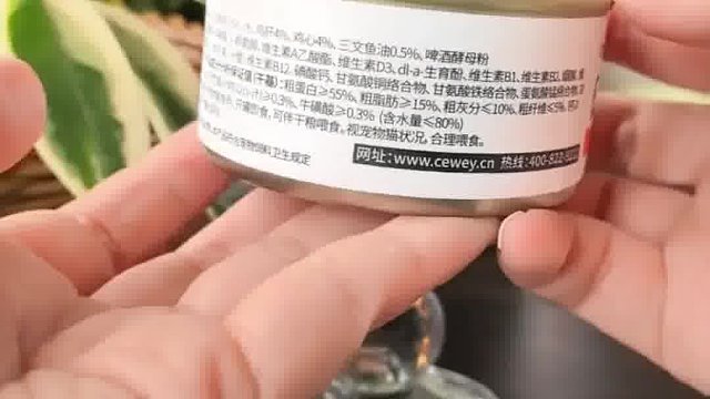 猫咪不爱吃饭喂什么？