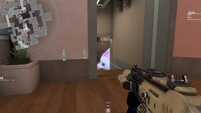 两分钟教你如何抓泰米！