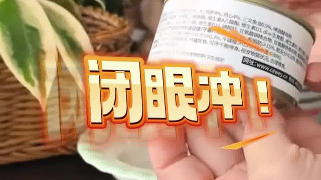 新手养猫闭眼入！希喂白小罐不踩雷