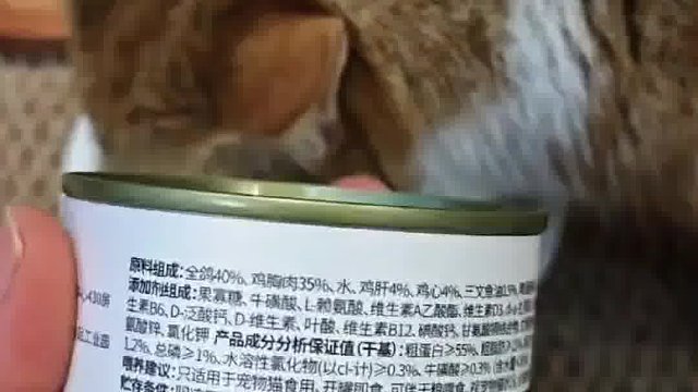 希喂猫罐头 开罐实测
