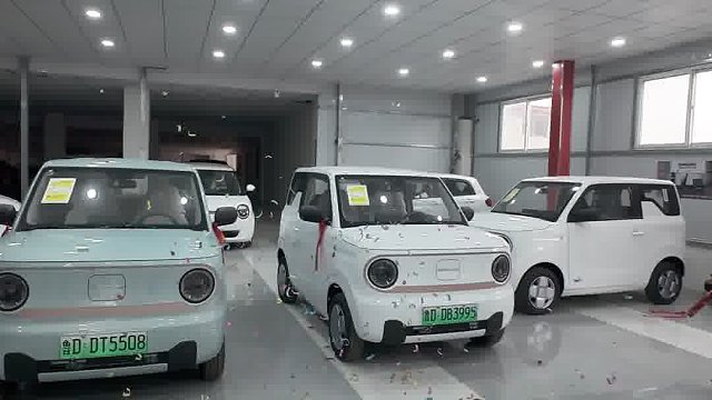 吉利熊猫mini耐力熊