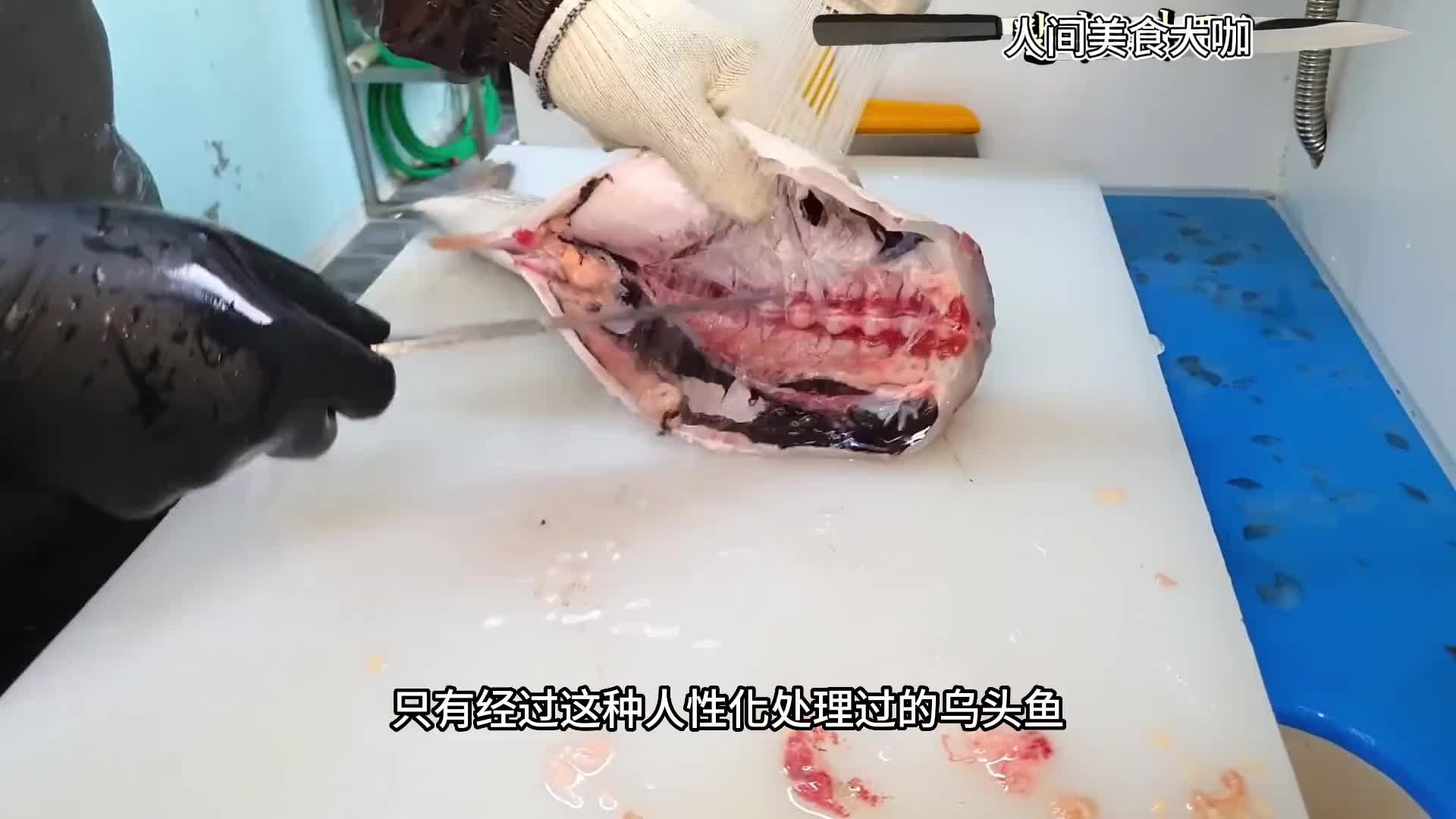 乌头鱼作为国货之光，价格便宜还能吃出珍馐美味，很难让人不爱。