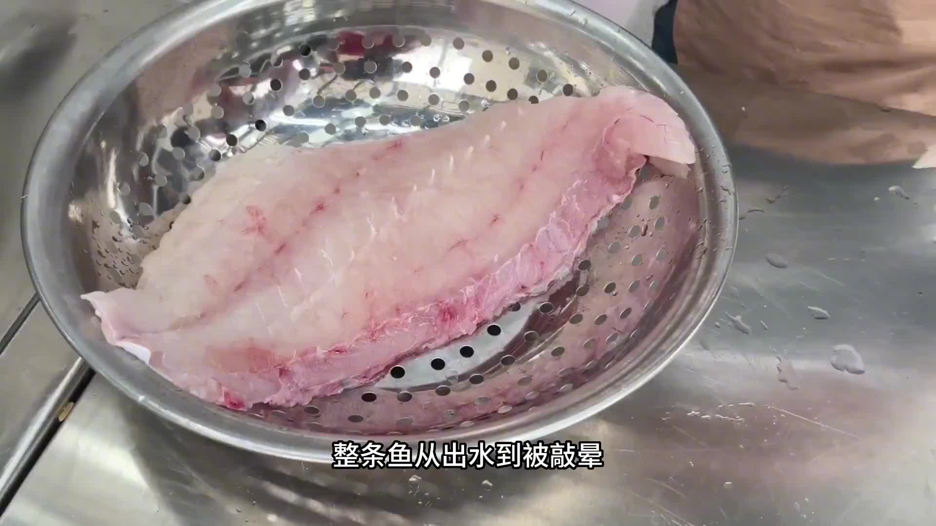 苏眉鱼被师傅用工具敲晕，然后在2分钟内处理完，用来清蒸是真的鲜美。