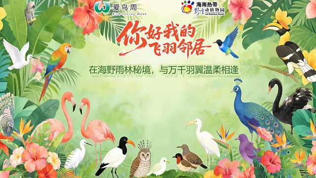 海野飞羽情报（爱鸟周活动要来啦）
