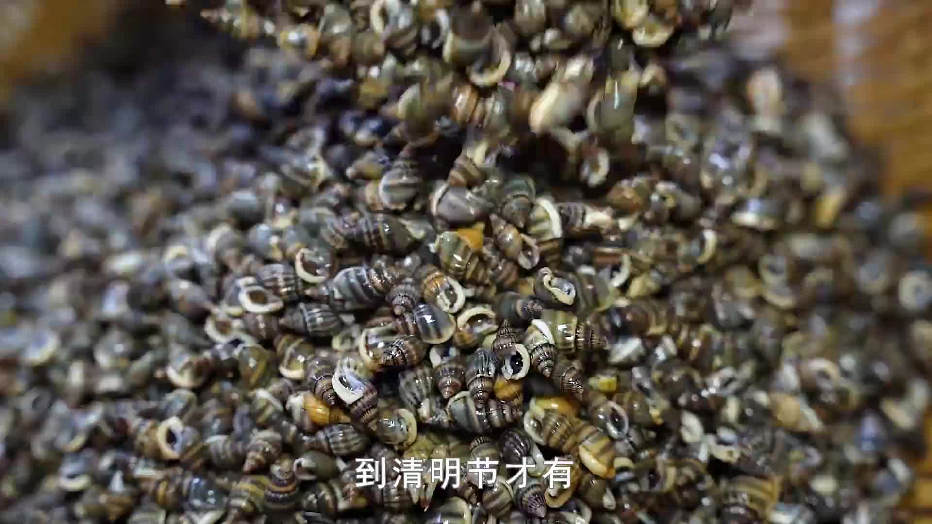10元1杯的啾啾螺，泉州66岁大爷摆摊40几年，1个杯子摇火3代人