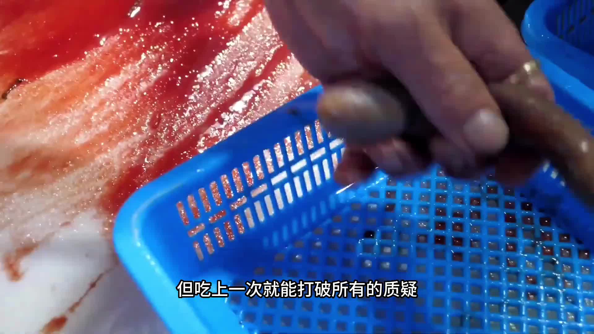 大力海肠直接做成刺身吃都不知道有多鲜美。