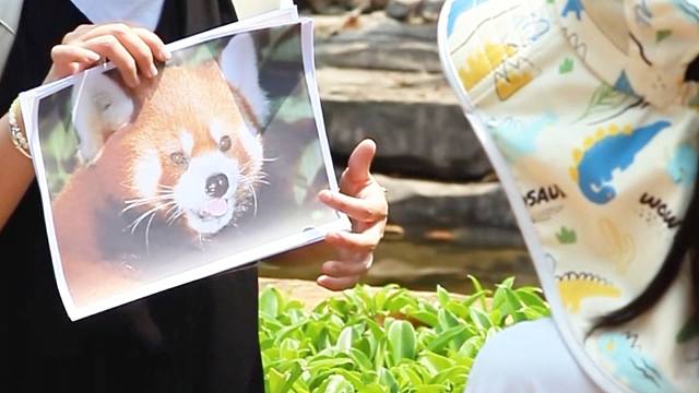 充满欢声笑语的亲子时间
