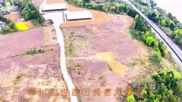 四川射洪香山桃花河遗址一