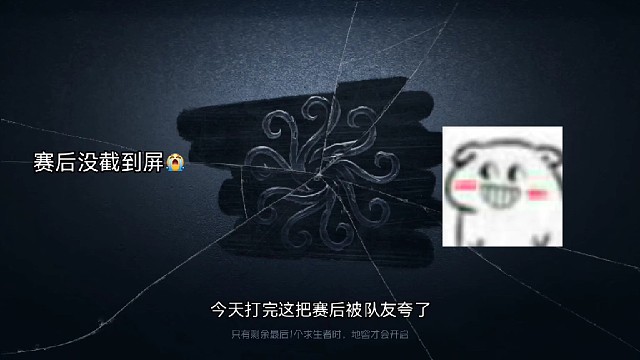 新人报到