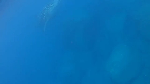 啊啊啊