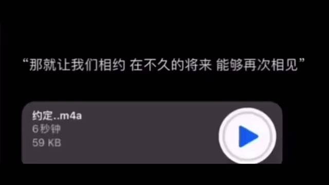 所有的约定里 我最喜欢明天见