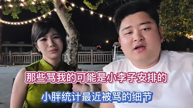 那些骂我的可能是小李子安排的，小胖统计最近被骂的细节！