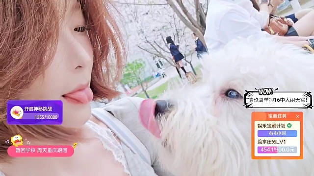 林语偶遇锅盖小舔狗