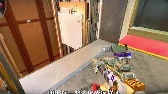 你来你也得被蹲