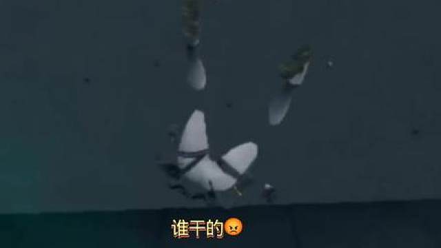 娜露