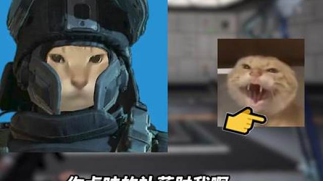 你T仔叔叔确实毋庸置疑