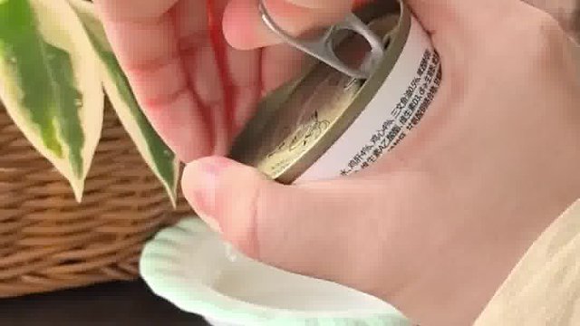 多猫家庭选什么罐头？希喂白小罐安排