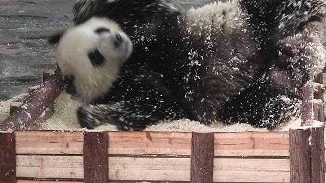 今天麻糍就卖到这，燃尽啦