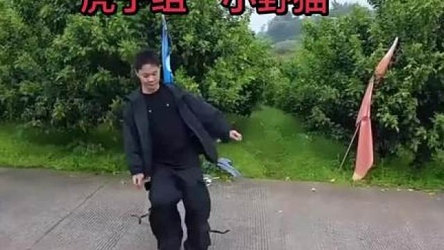 虎子“小野猫”