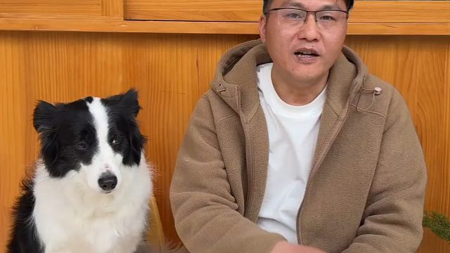 一只狗狗的蜕变，只需要一段时间