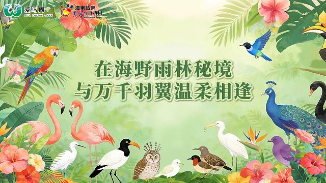 海野爱鸟周沉浸式守护飞羽邻居