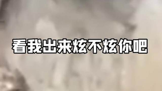我怎么长得和狗一样