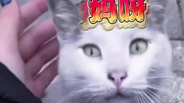 你让我感到恶心